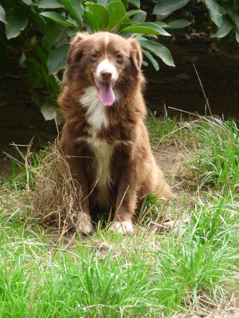 Union for peace red wendy Des Amis De Zoé